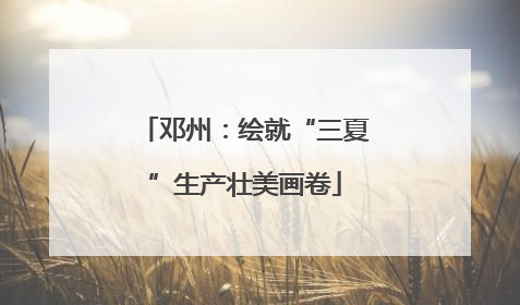 邓州：绘就“三夏”生产壮美画卷